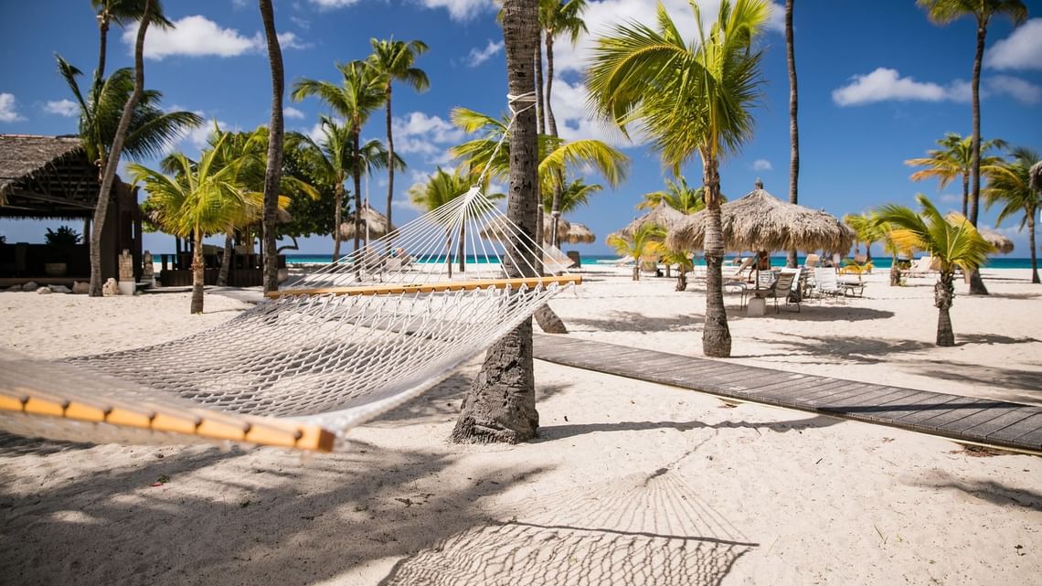 Hammock on a sunny Aruba beach