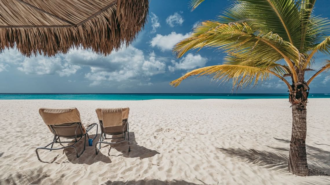 Chairs under a beach palapa