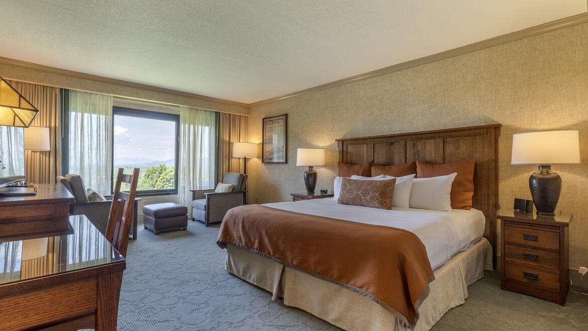 Mountain-view guest room